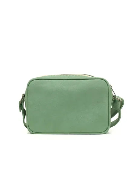 Shitake Verde Safari